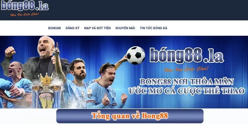 Bong88 Hashcat ⭐️ Link vào Bong88 không bị chặn mới nhất 【2025】 36 Tổng quan về Bong88