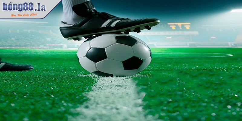Hình thức cược tổng lượt phát bóng lên thu hút bet thủ tham gia